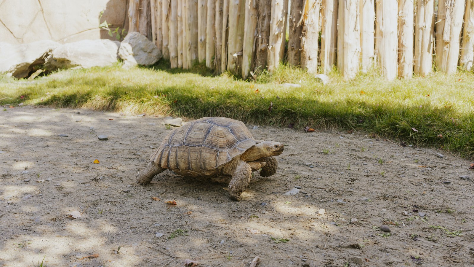 Courte promenade au Miller Zoo en images