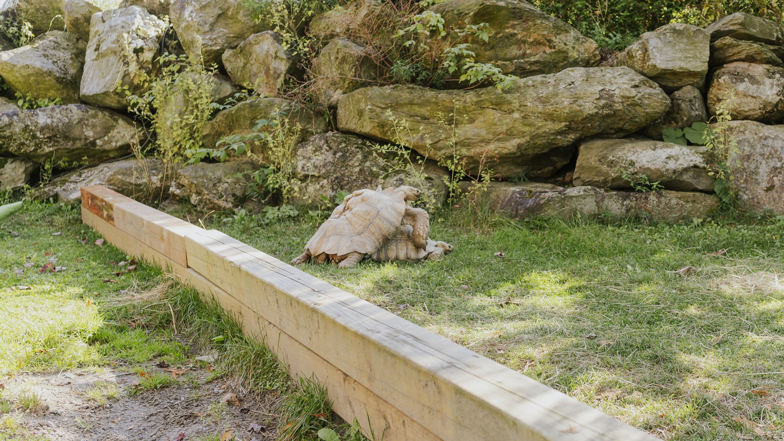 Courte promenade au Miller Zoo en images