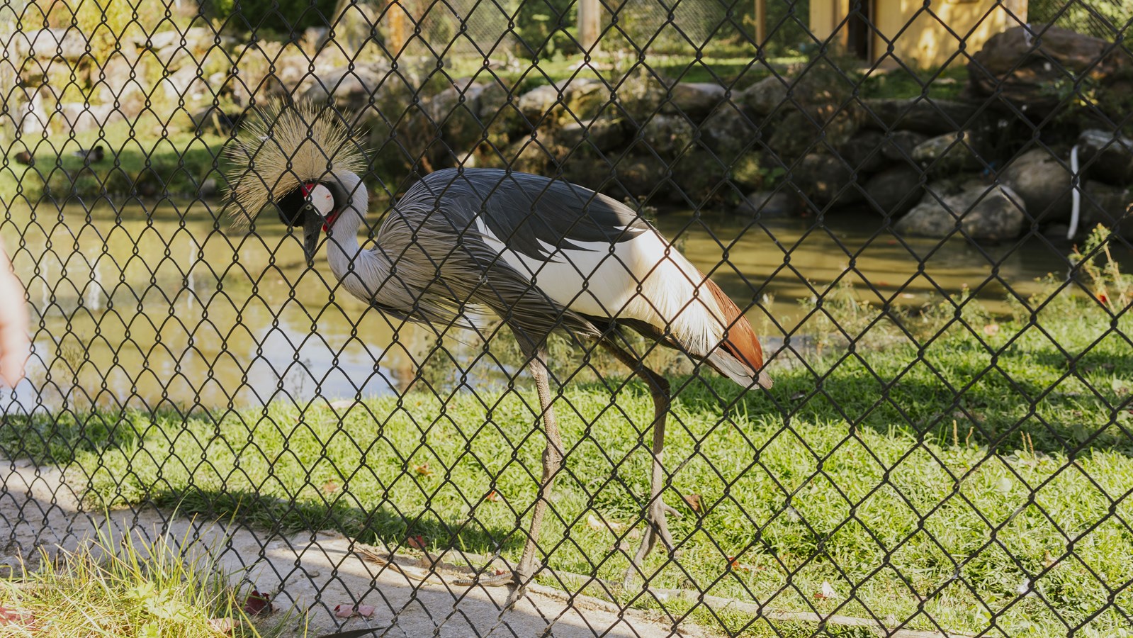 Courte promenade au Miller Zoo en images