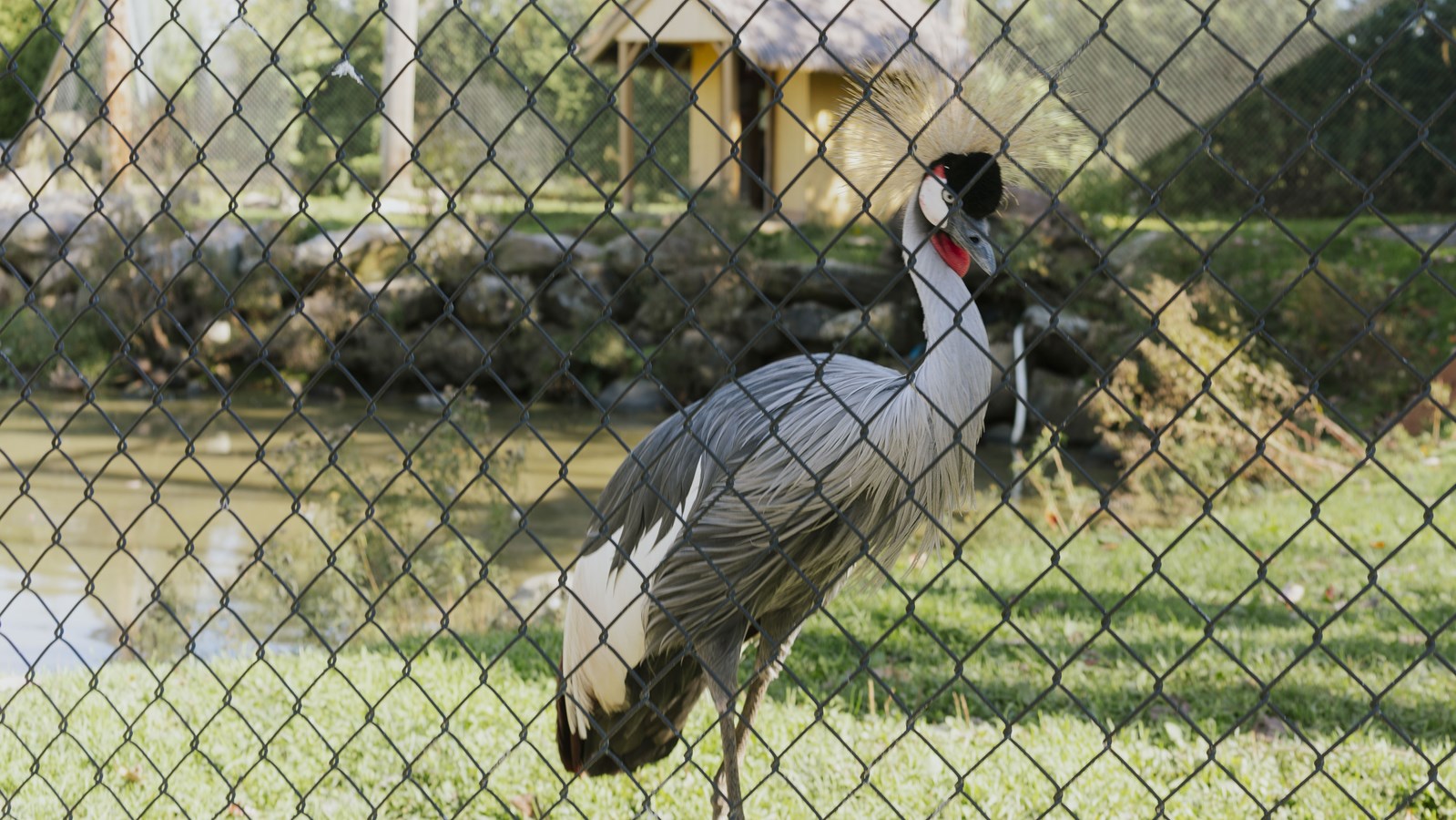 Courte promenade au Miller Zoo en images