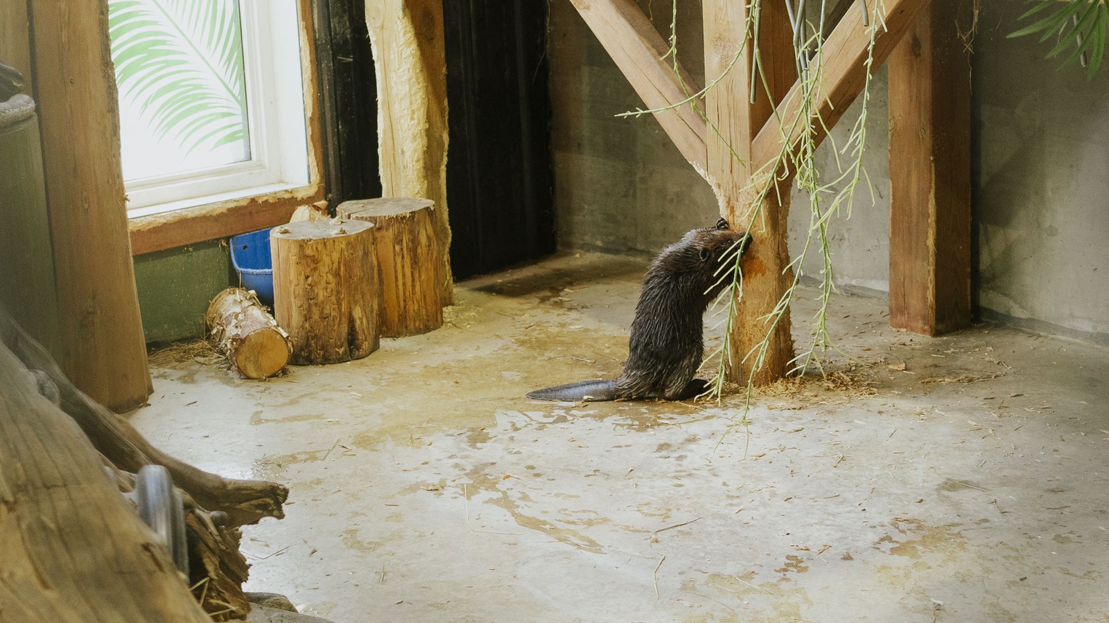 Courte promenade au Miller Zoo en images