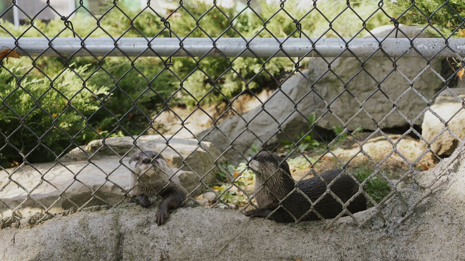 Courte promenade au Miller Zoo en images