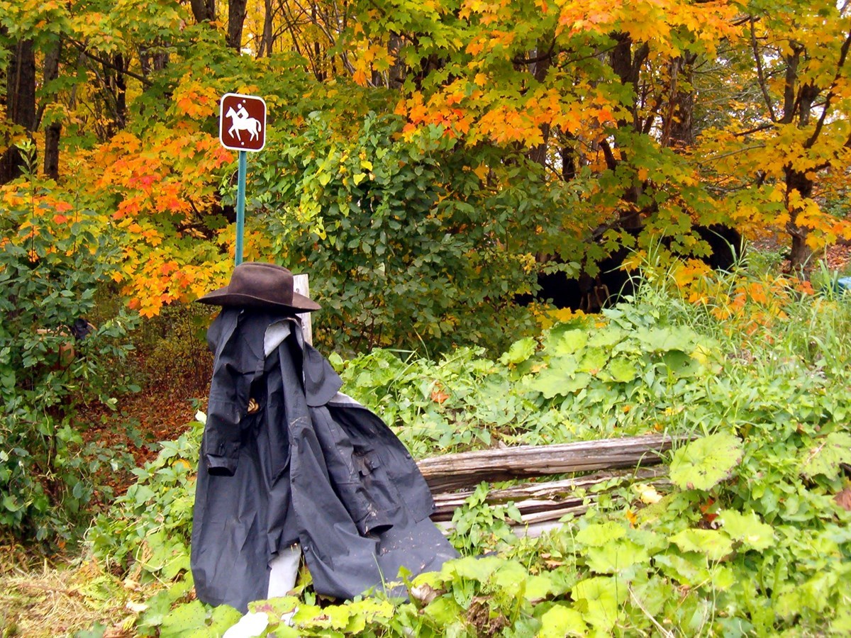 Équitation d'automne - Courcelle - Saint-Évariste