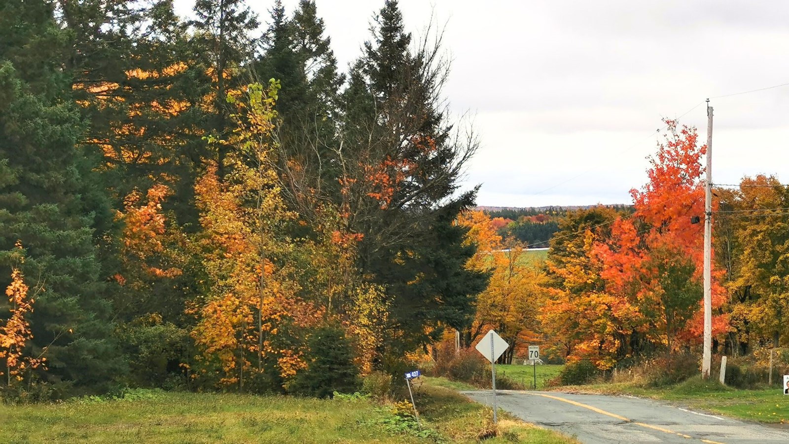 Galerie 1 : les couleurs d'automne à travers vos yeux