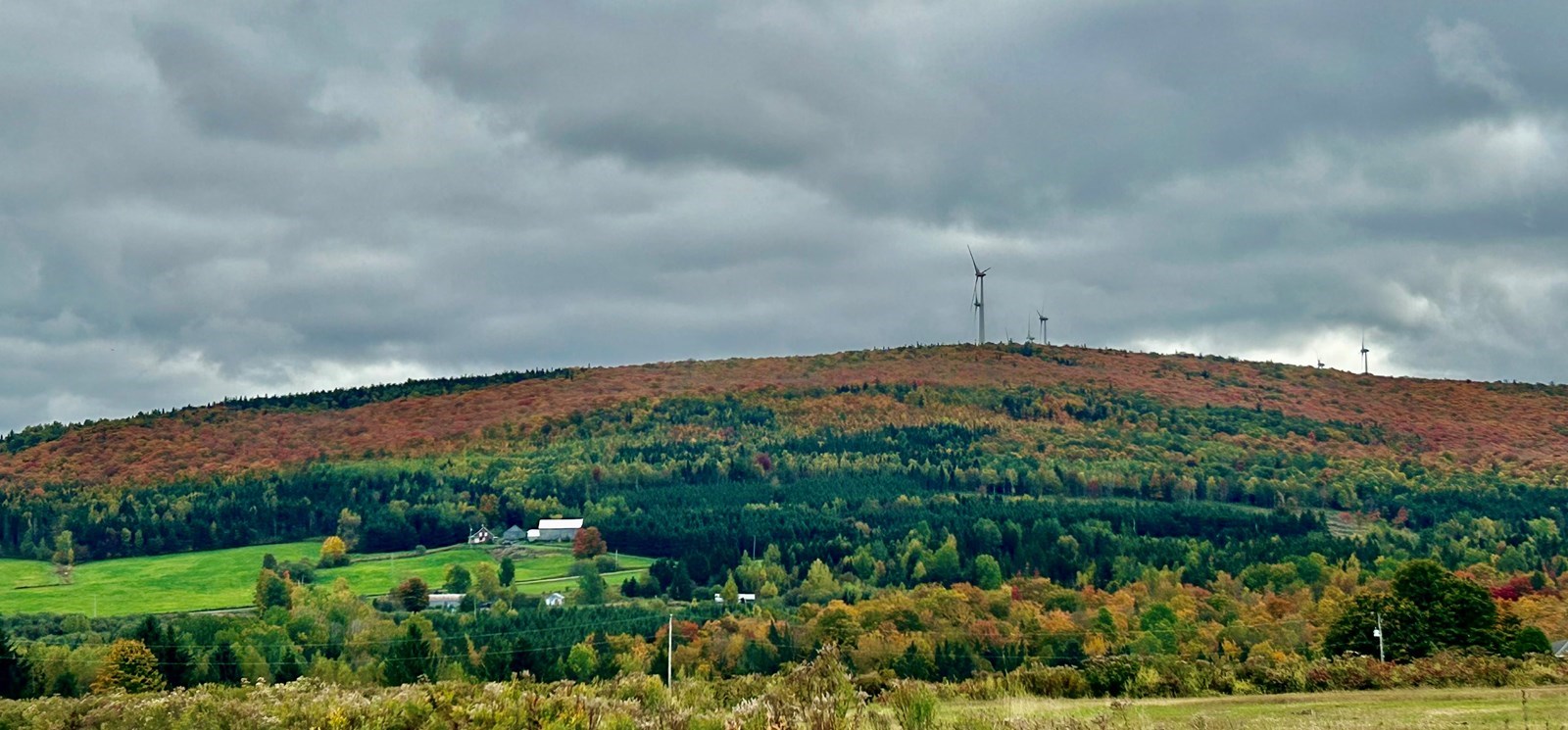 Galerie 2 : les couleurs d'automne à travers vos yeux