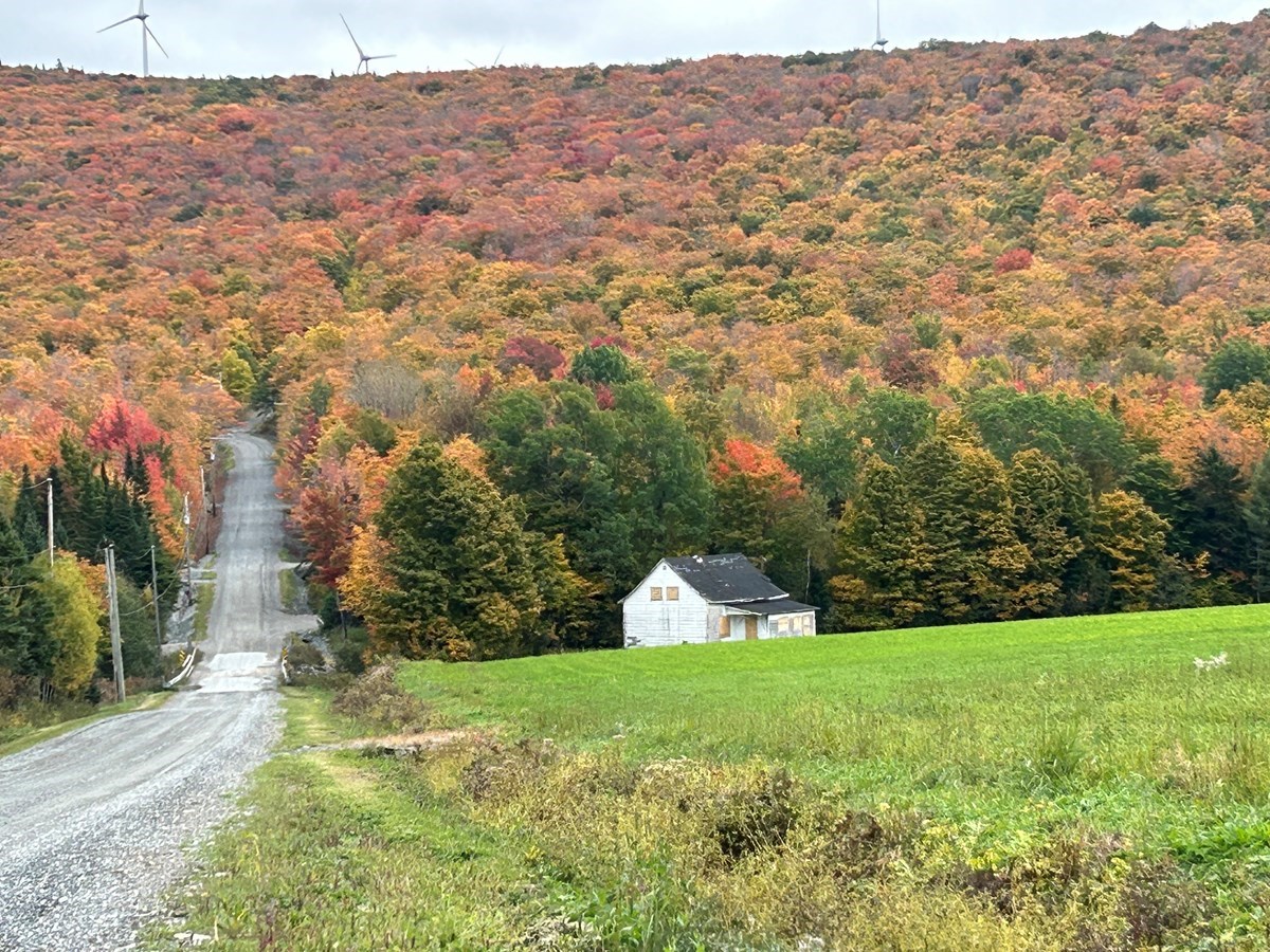 Galerie 2 : les couleurs d'automne à travers vos yeux