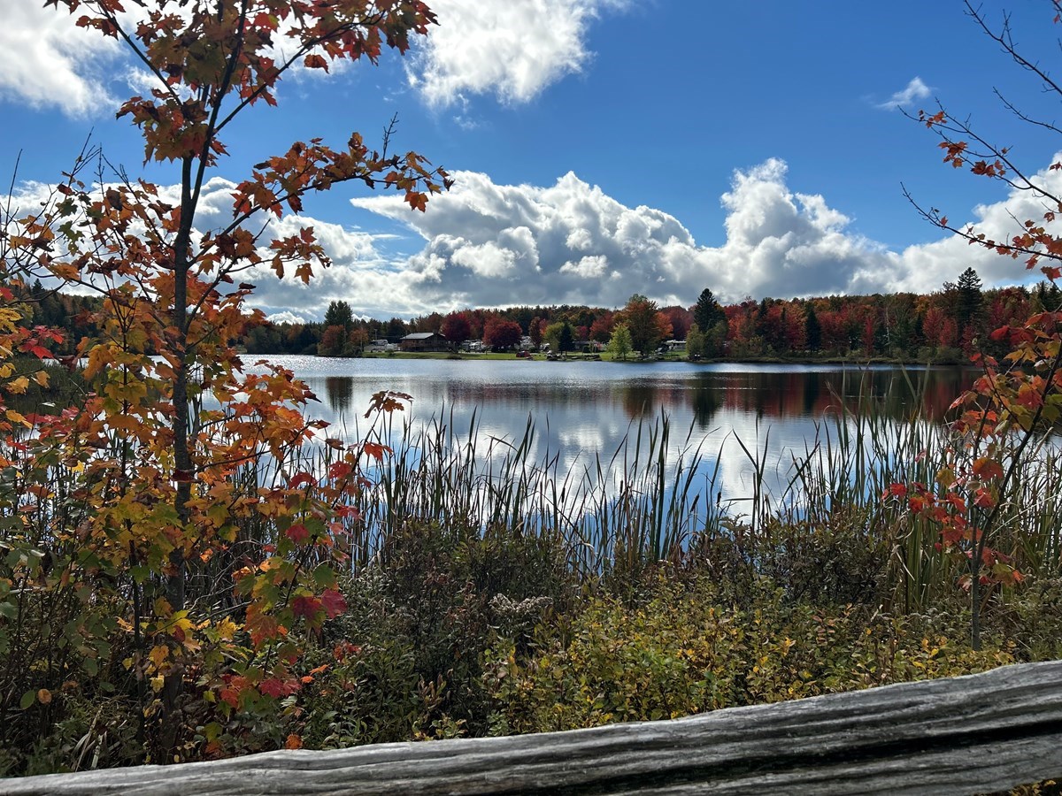 Galerie 2 : les couleurs d'automne à travers vos yeux