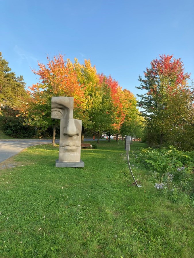 Galerie 2 : les couleurs d'automne à travers vos yeux