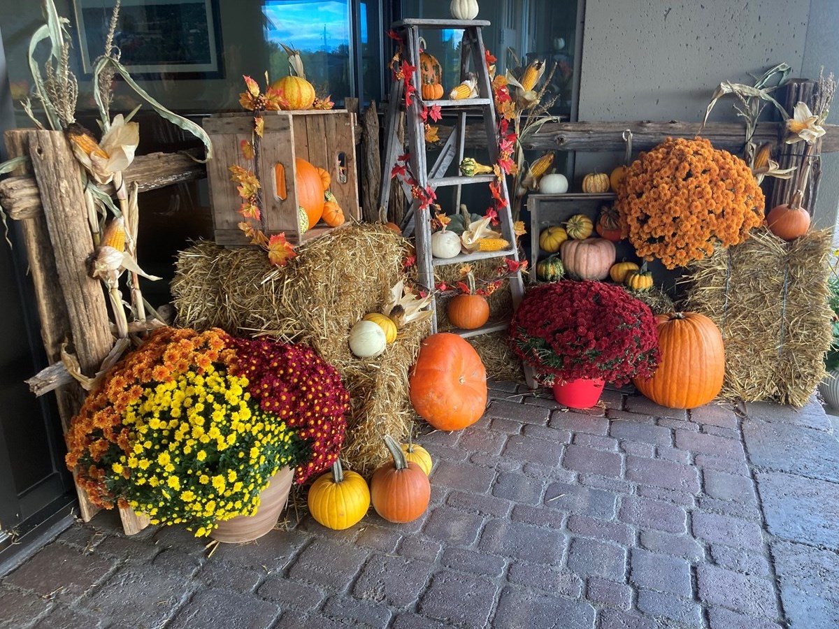 Galerie 2 : les couleurs d'automne à travers vos yeux