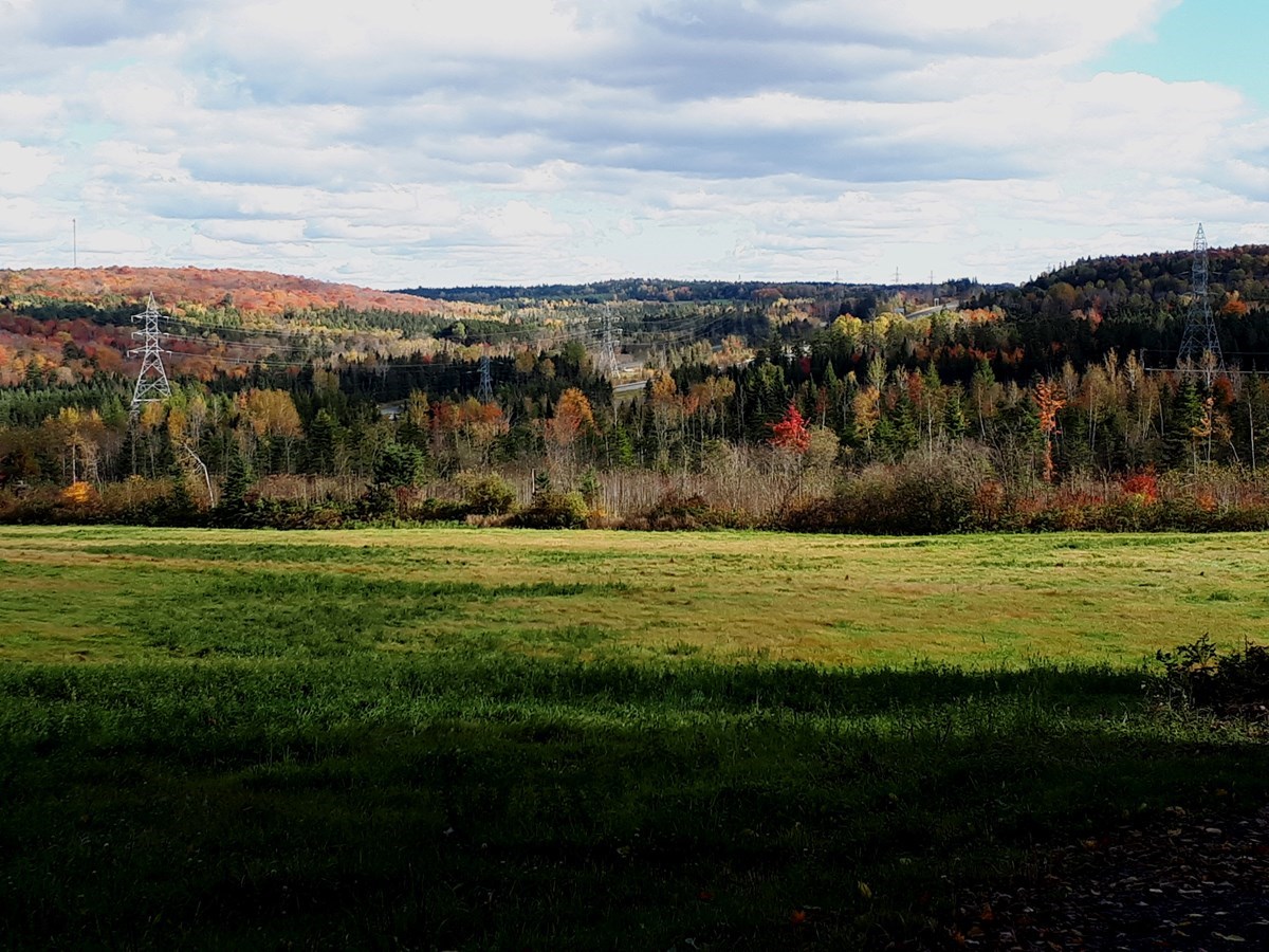 Galerie 2 : les couleurs d'automne à travers vos yeux