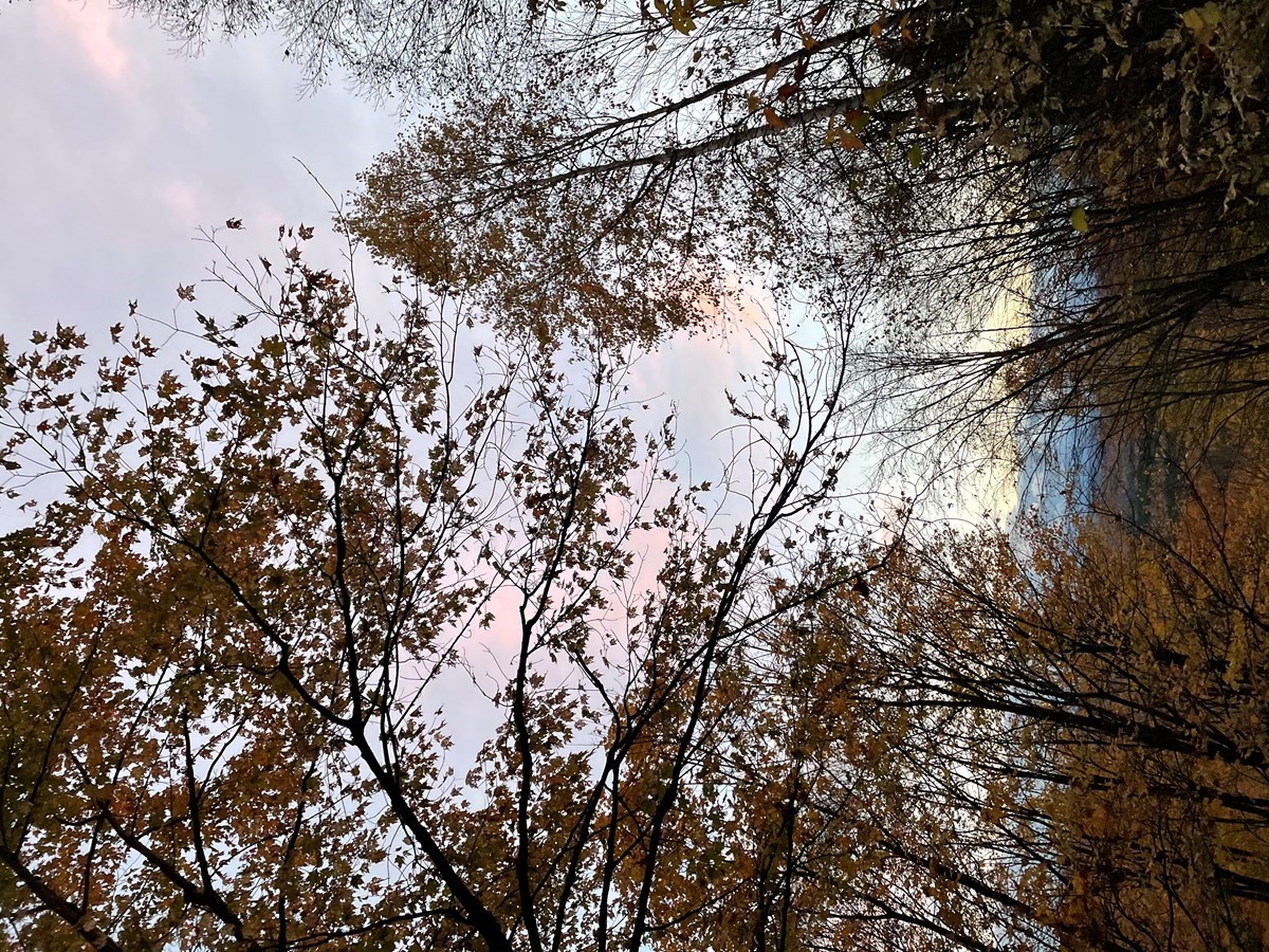 Galerie 3 : les couleurs d'automne à travers vos yeux
