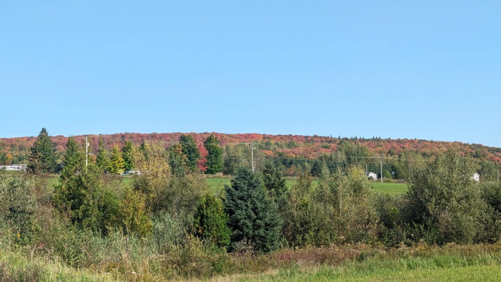 Galerie 4 : les couleurs d'automne à travers vos yeux