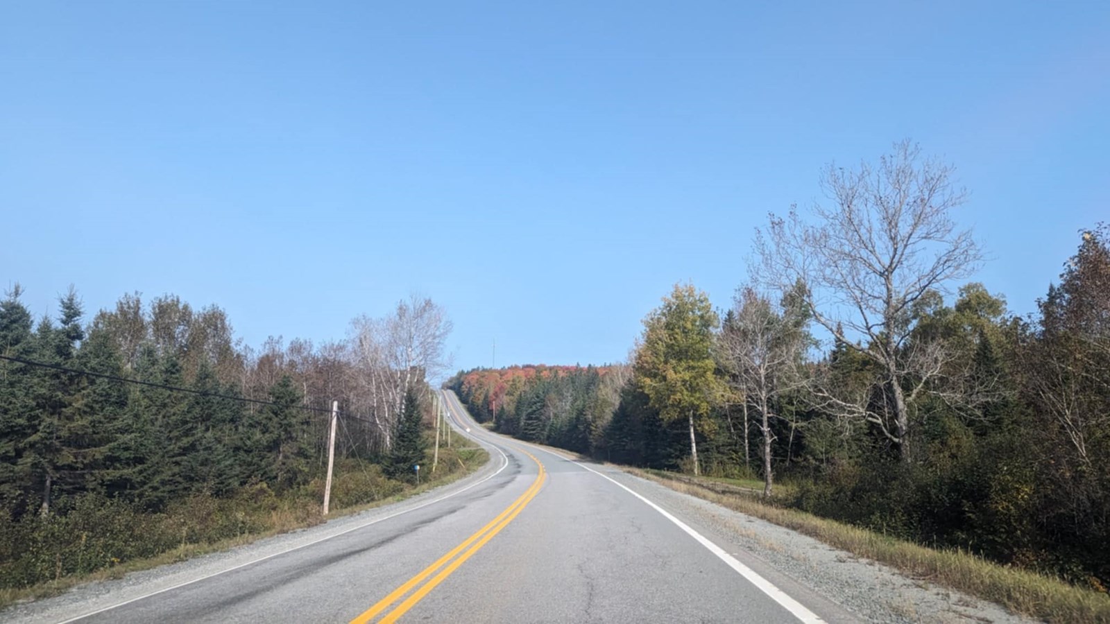 Galerie 4 : les couleurs d'automne à travers vos yeux