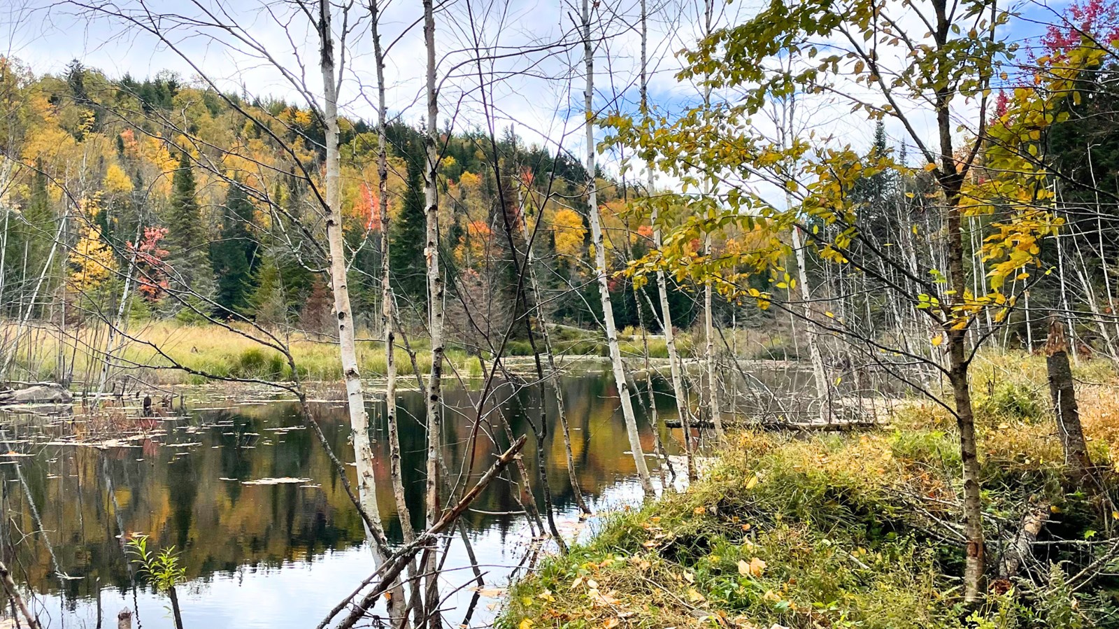 Galerie 4 : les couleurs d'automne à travers vos yeux