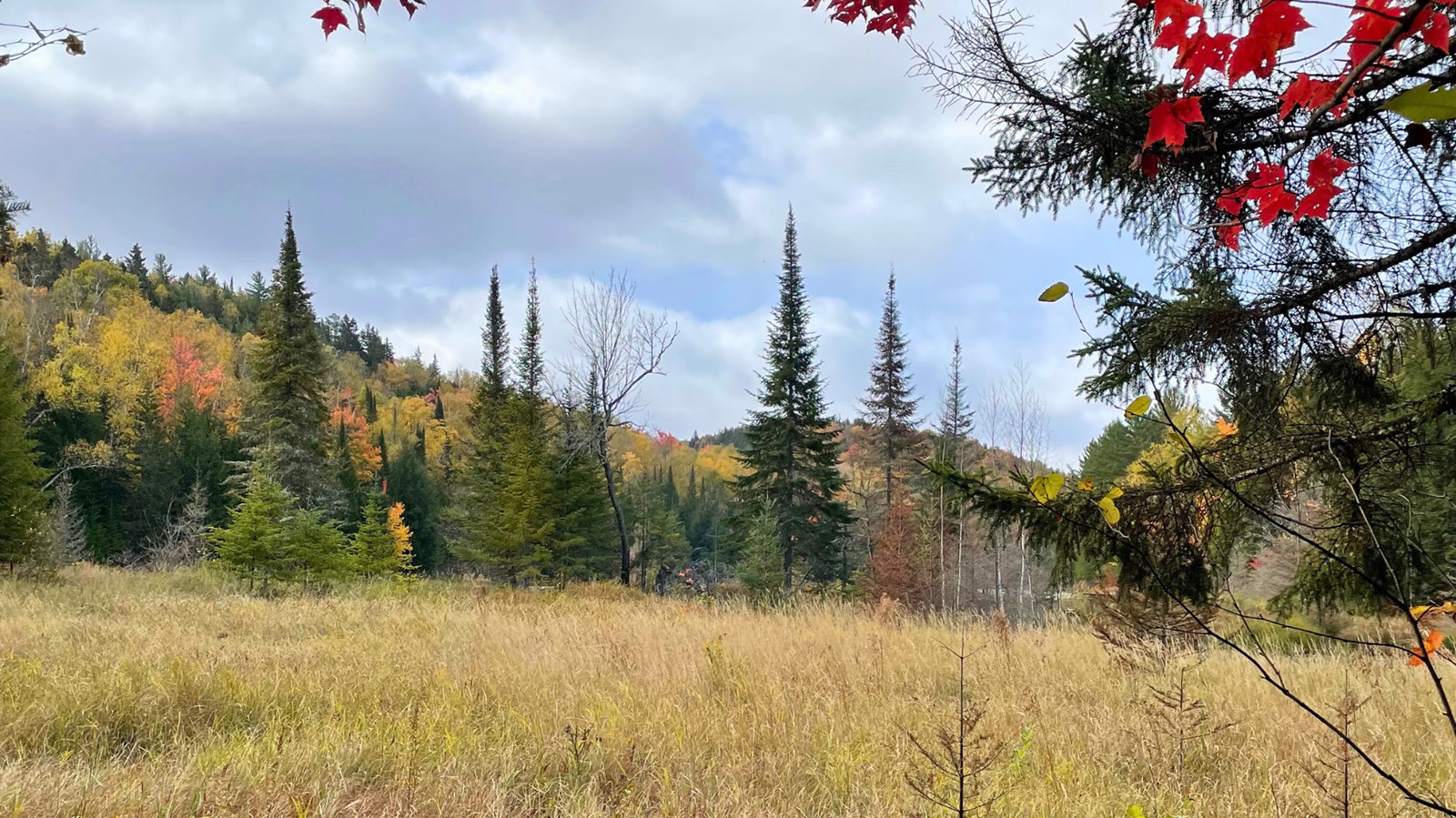 Galerie 4 : les couleurs d'automne à travers vos yeux