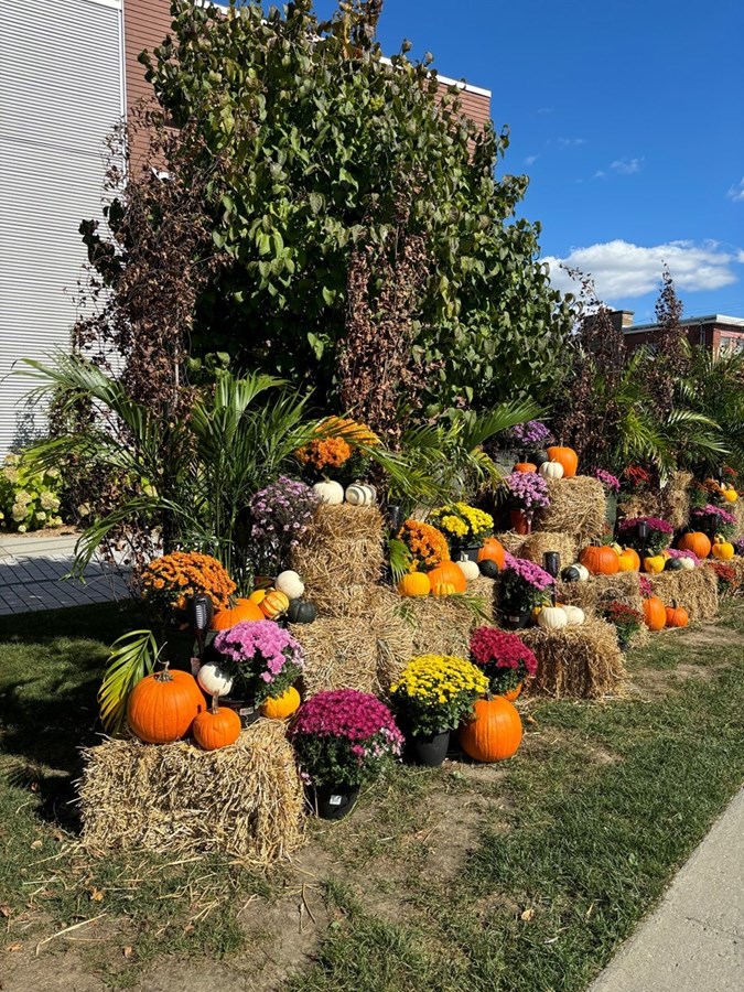 Galerie 4 : les couleurs d'automne à travers vos yeux