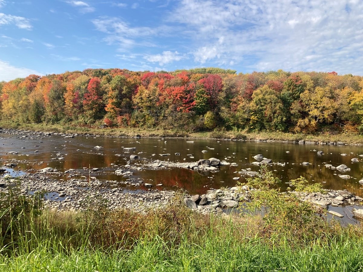 Galerie 4 : les couleurs d'automne à travers vos yeux