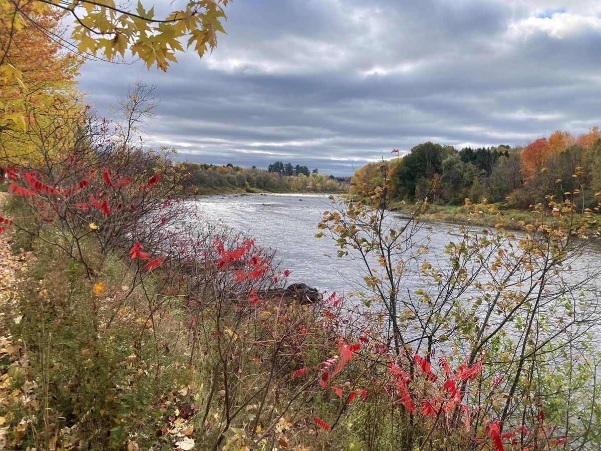 Galerie 4 : les couleurs d'automne à travers vos yeux