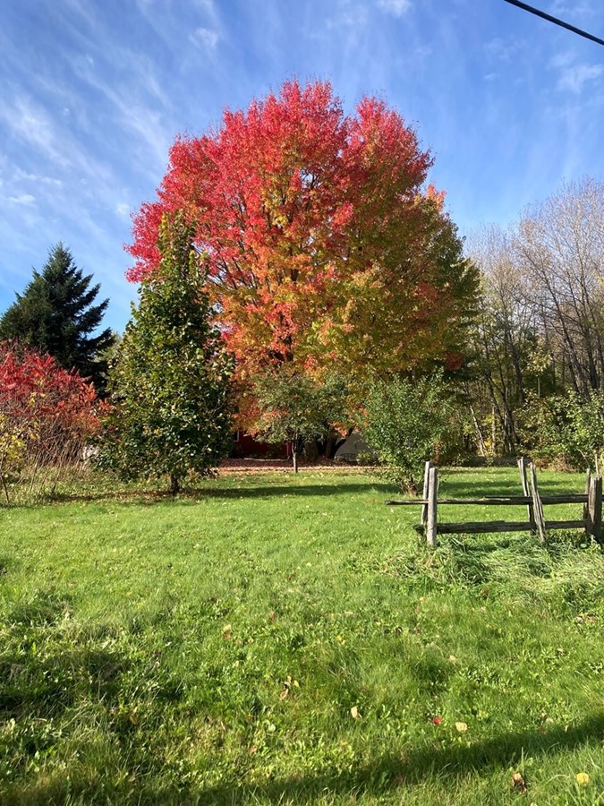 Galerie 4 : les couleurs d'automne à travers vos yeux