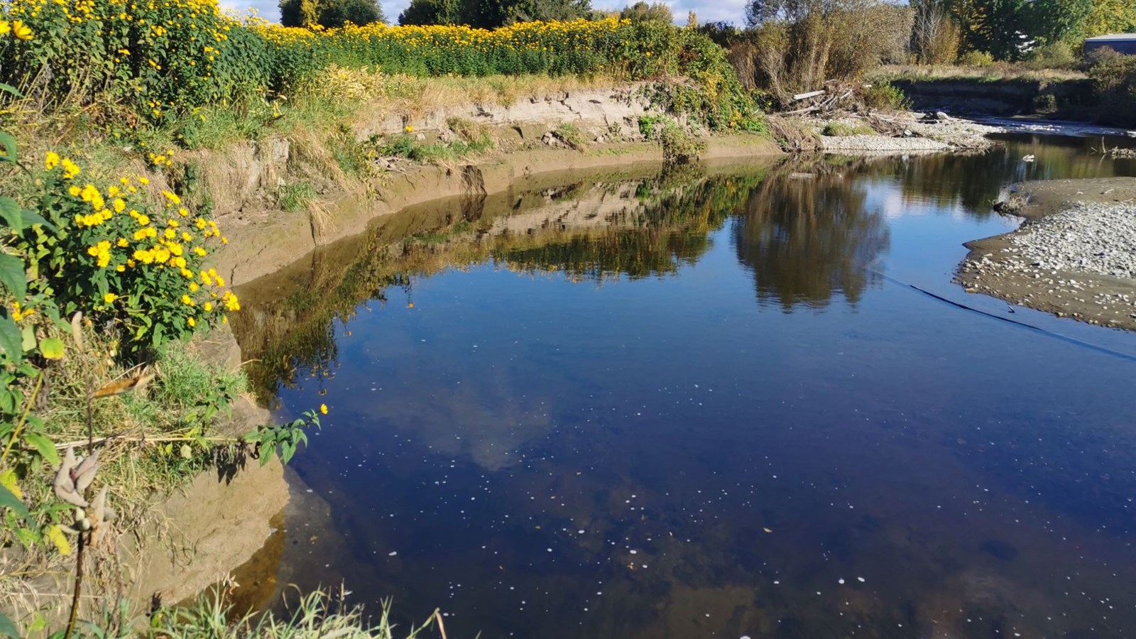 Toute la terre meuble s'effrite et est évacuée vers la rivière Chaudière.