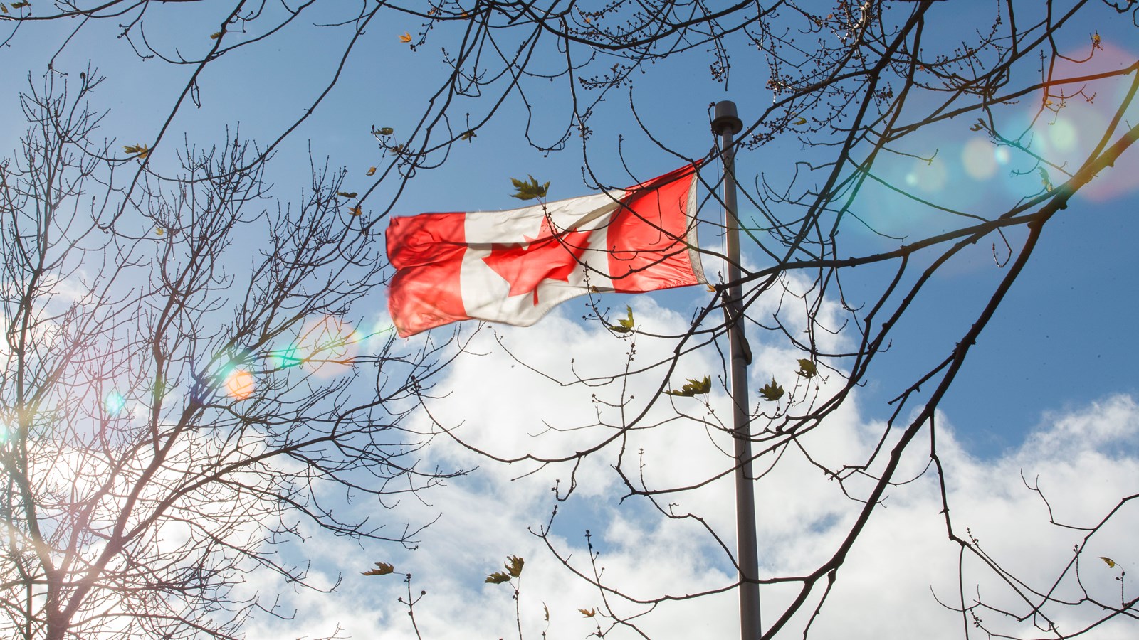 Connaissez-vous l'histoire et la signification du drapeau canadien?