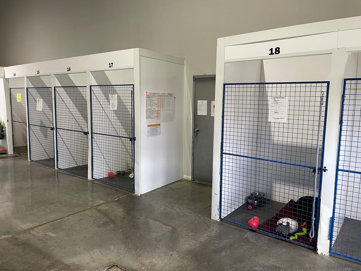 Les enclos pour les chiens de l'Escouade Canine