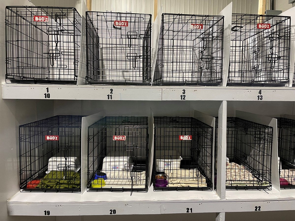 Les cages sont prêtes à accueillir de futurs pensionnaires