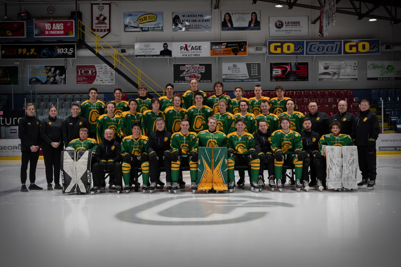 Équipe de hockey des Condors