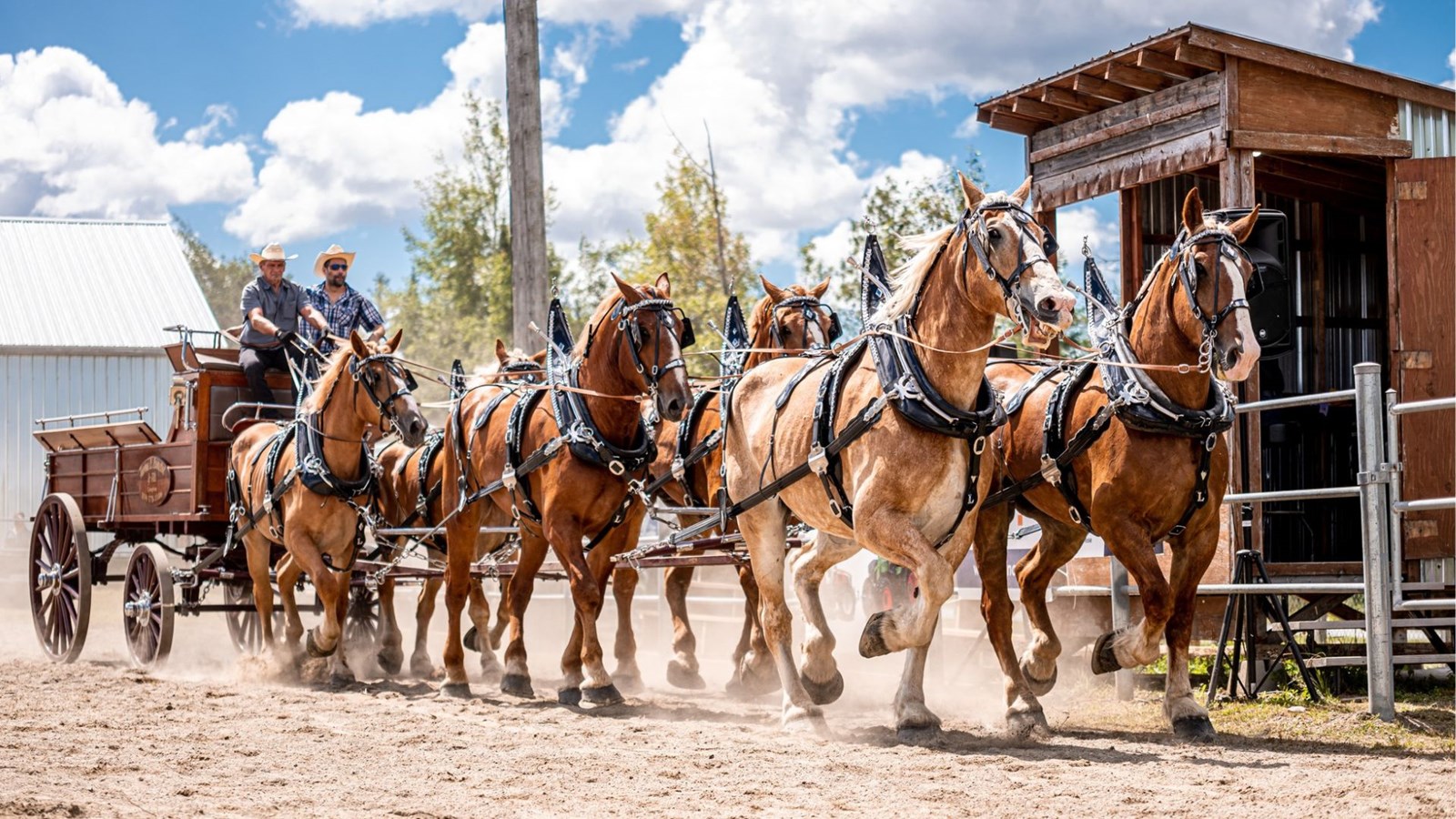 Expo agricole de Beauce de Saint-Honoré-de-Shenley — 8 au 11 août