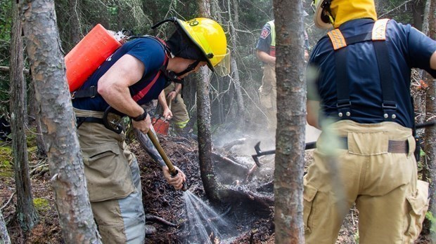Mois de mai: deux fois moins de feux de forêt qu’à l’habitude