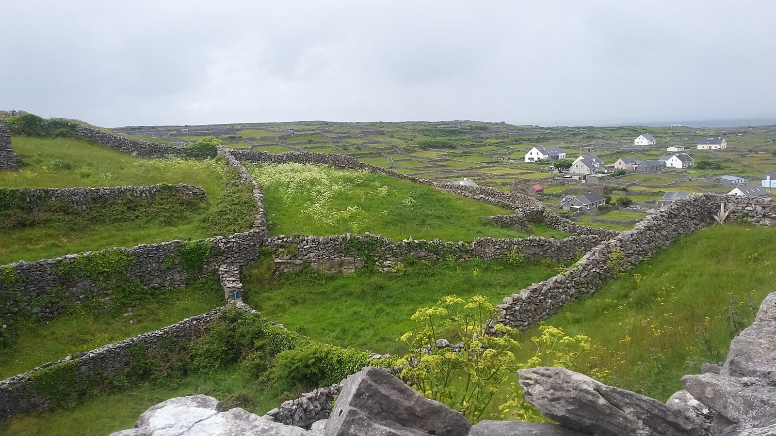 Les étudiants en Sciences humaines à la découverte de l'Irlande
