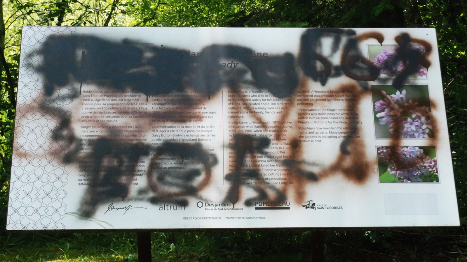 Des graffitis au Parc Veilleux.
