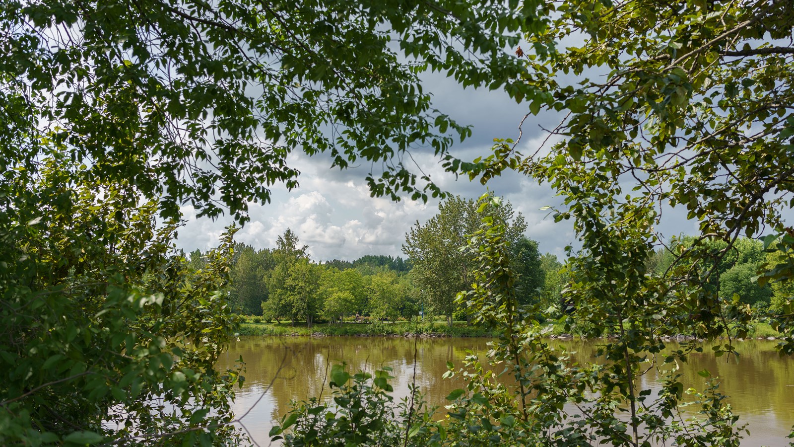Promenade aux passerelles