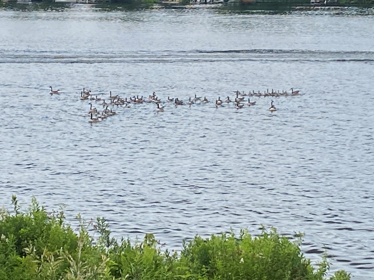 St-Victor Lac Fortin