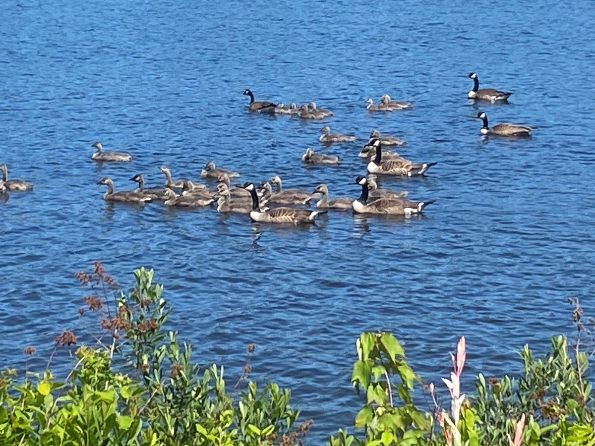 St-Victor Lac Fortin