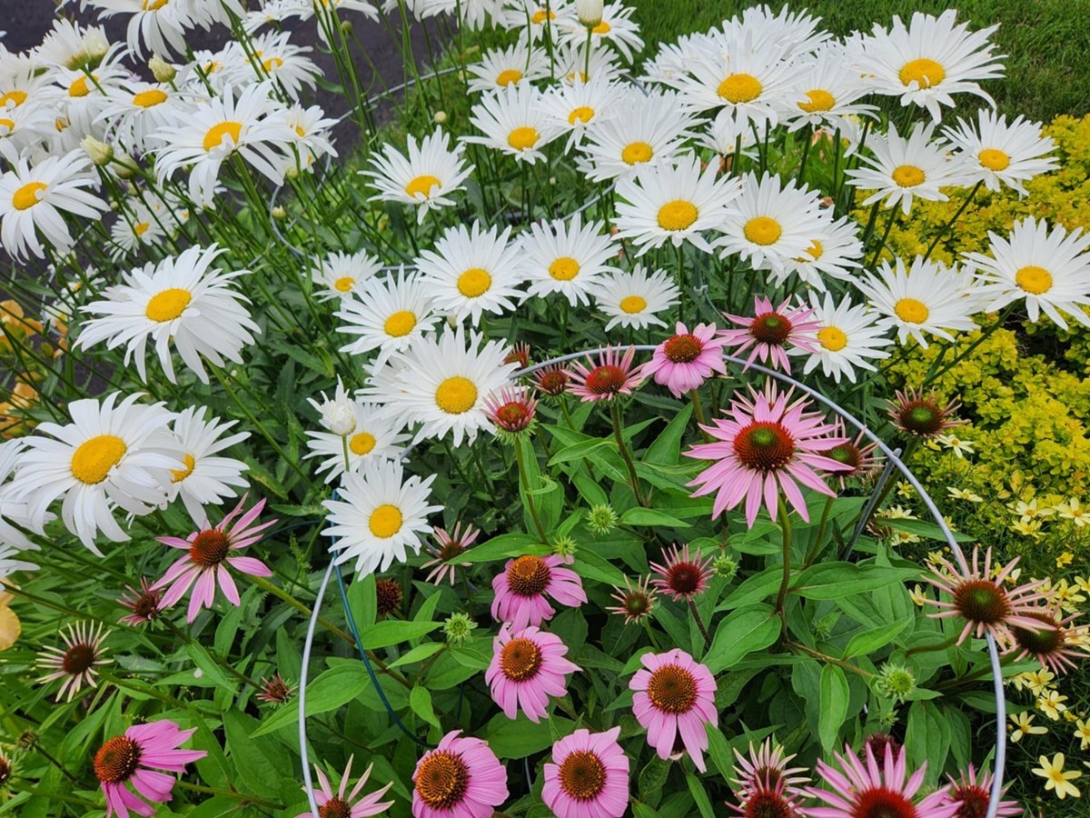 Vos photos de la saison estivale: deuxième galerie