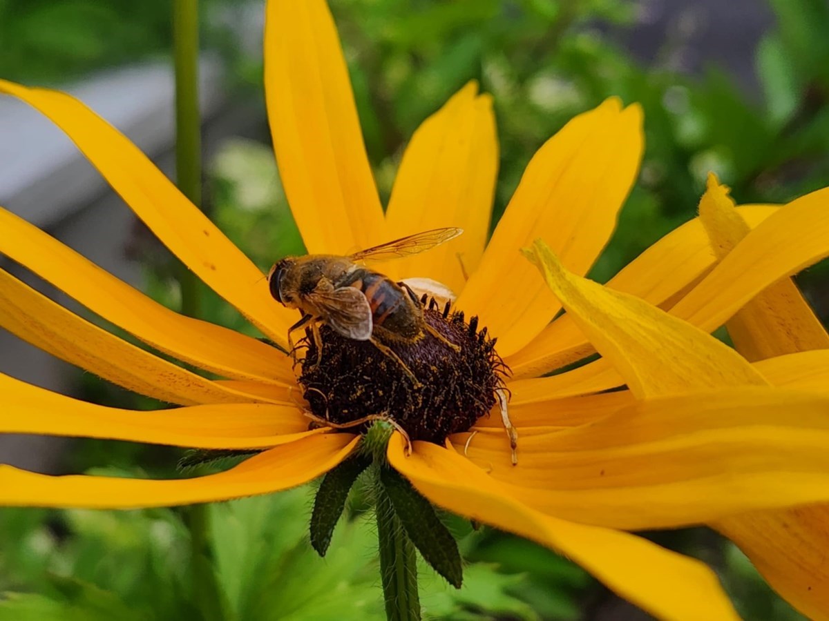 Vos photos de la saison estivale: deuxième galerie