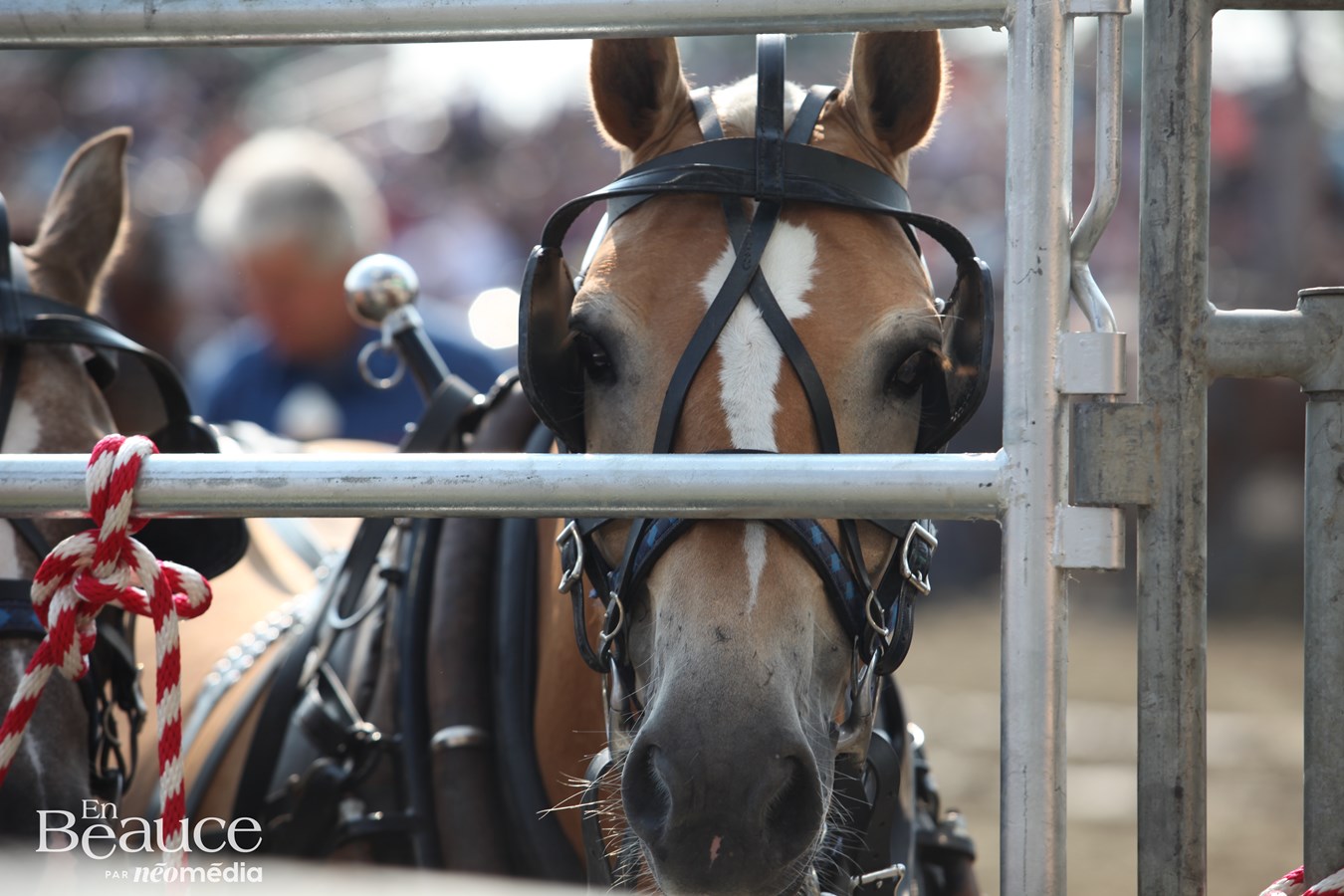 Les Festivités Western de Saint-Victor en images
