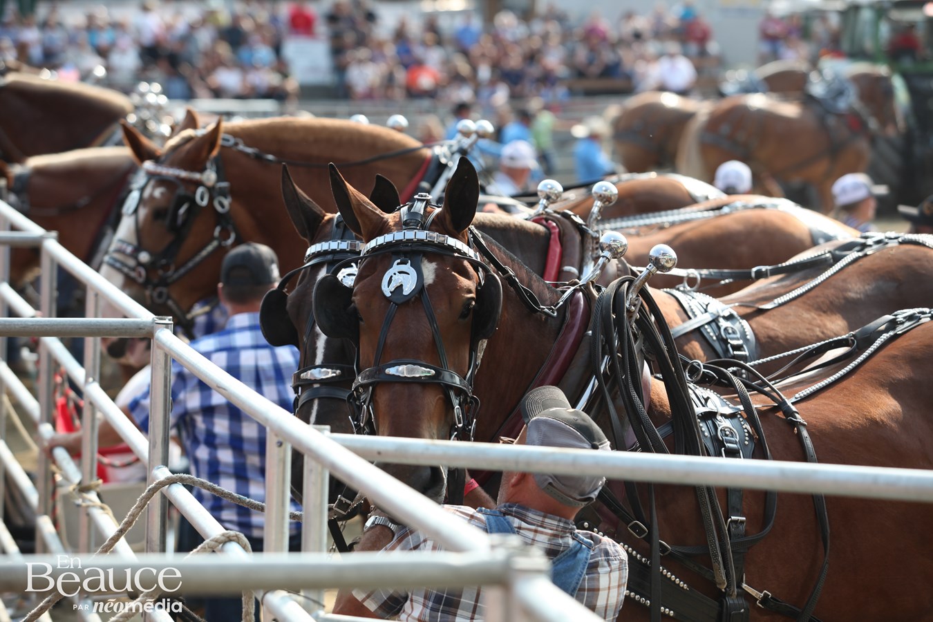 Les Festivités Western de Saint-Victor en images