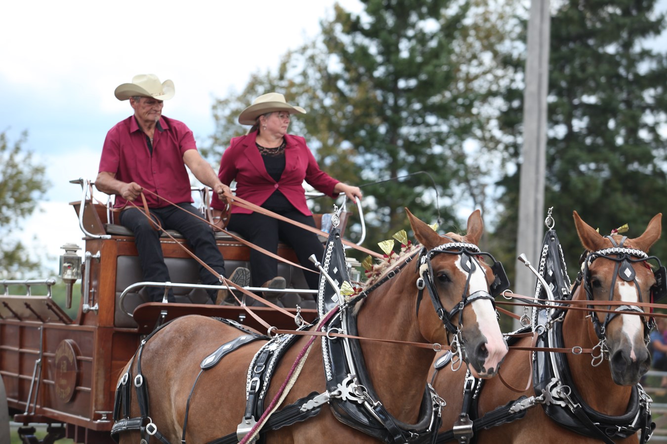 L'Exposition agricole de Beauce en images