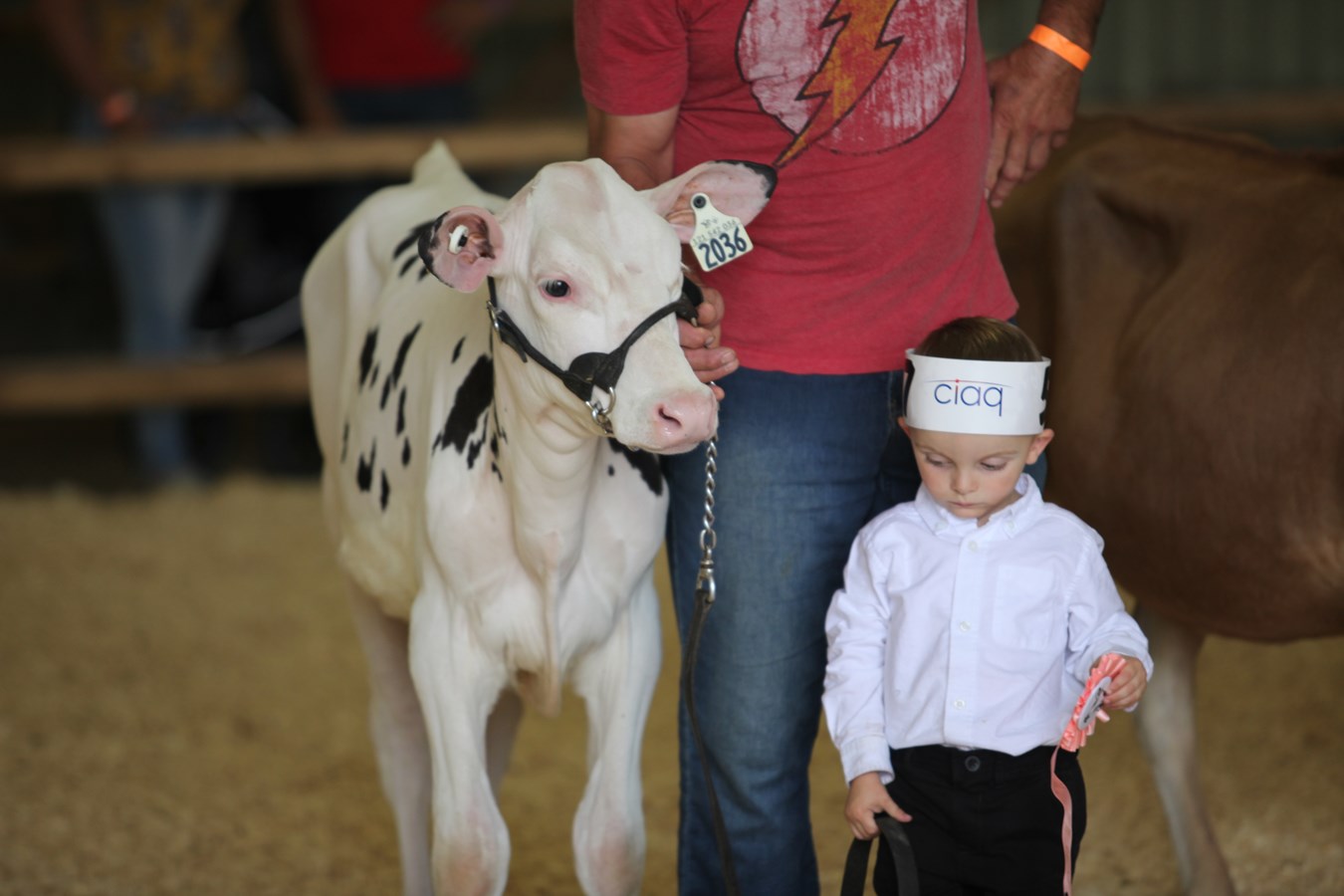 L'Exposition agricole de Beauce en images