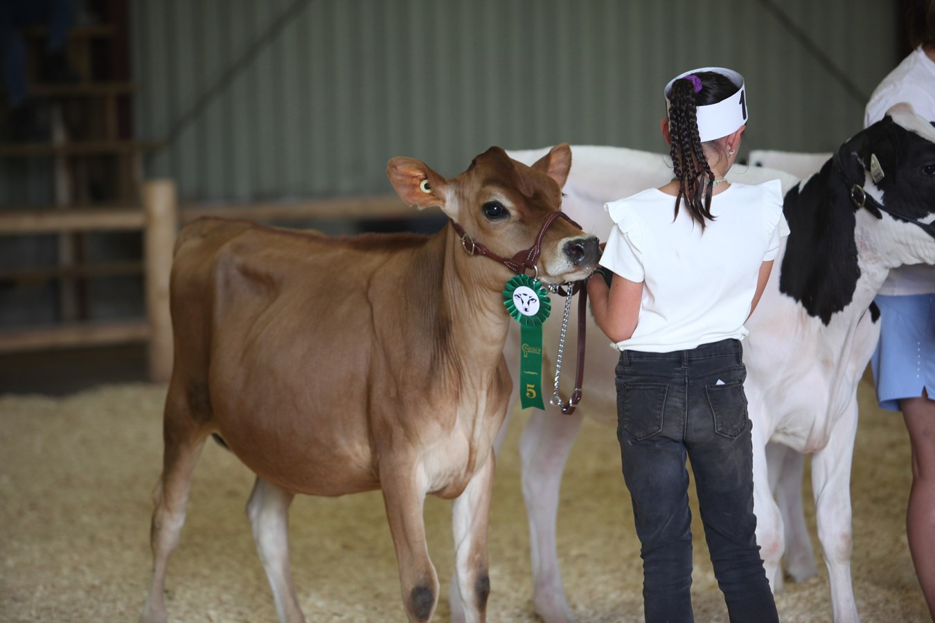 L'Exposition agricole de Beauce en images