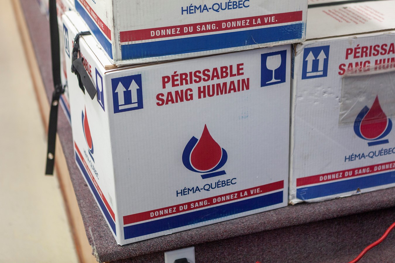 Les collectes de sang à venir en septembre