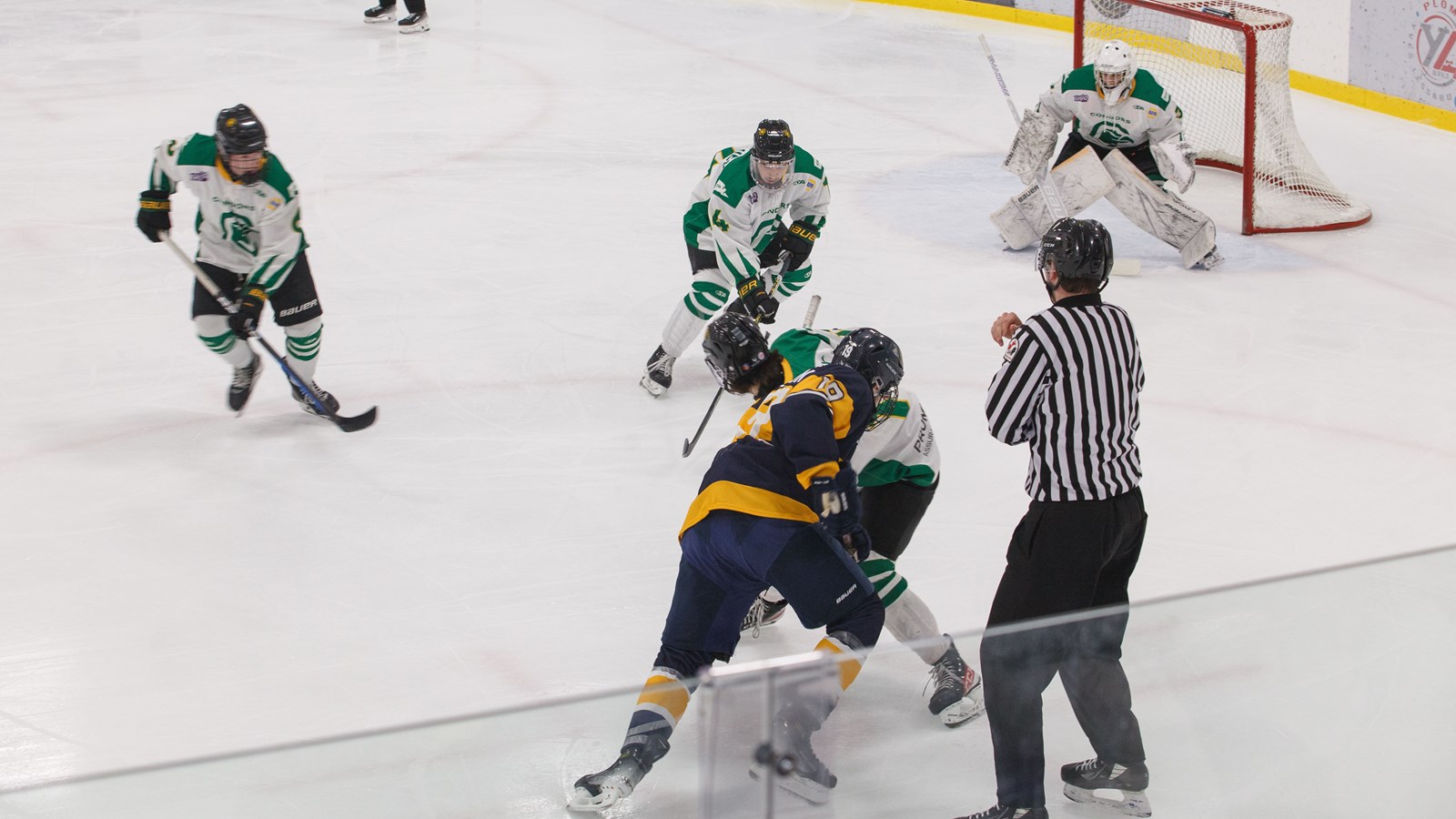 Un début de saison en force pour les Condors hockey
