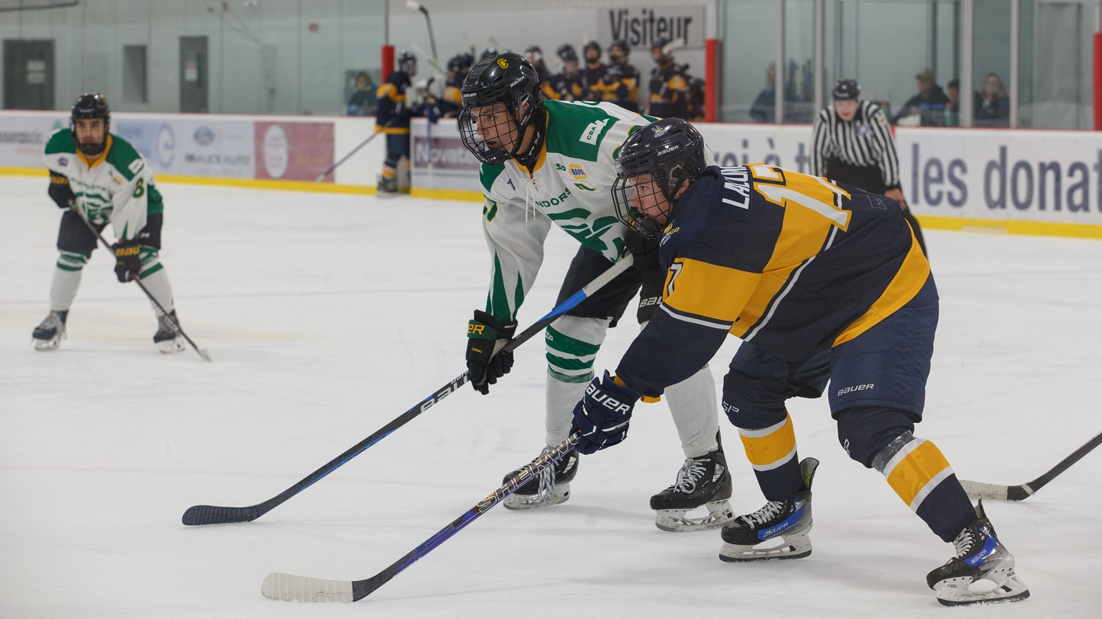 Un début de saison en force pour les Condors hockey