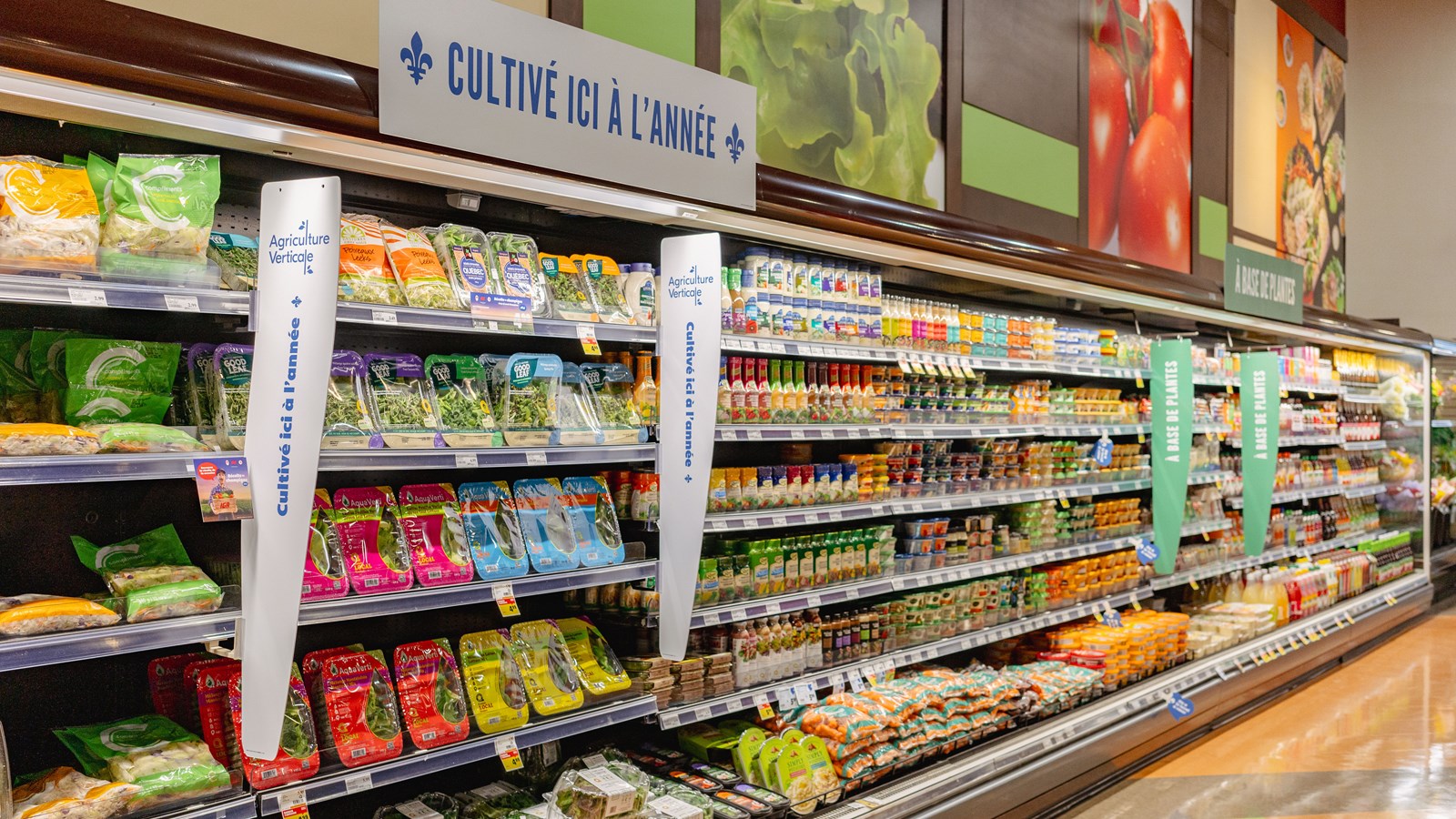 Un vent de fraîcheur au IGA Famille Groleau