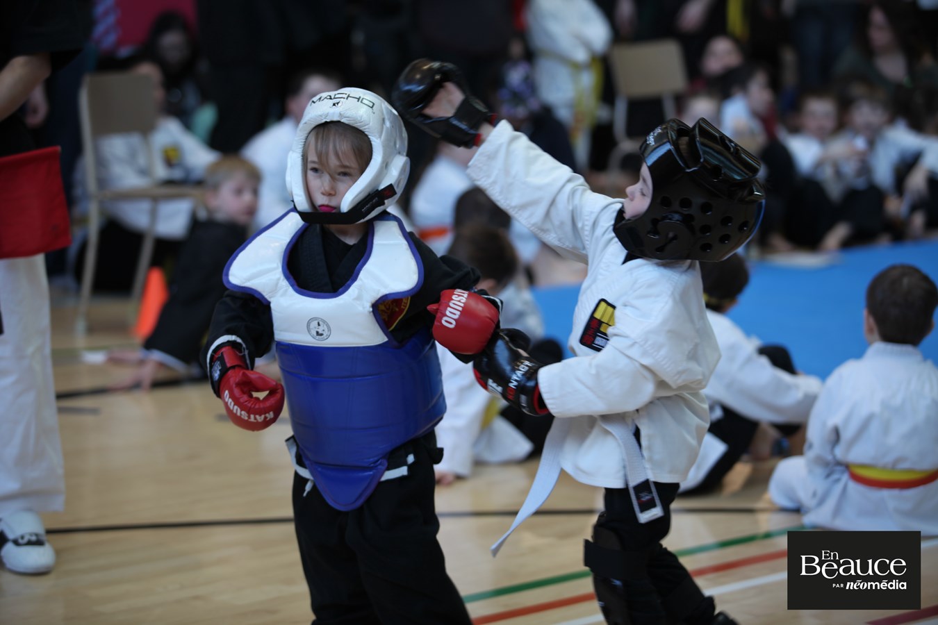 Le 23e Championnat Yoseikan Beauce réunit les passionnés à Saint-Georges