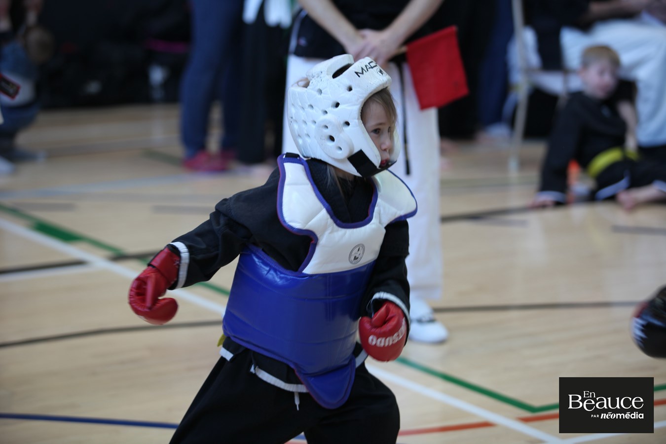 Le 23e Championnat Yoseikan Beauce réunit les passionnés à Saint-Georges
