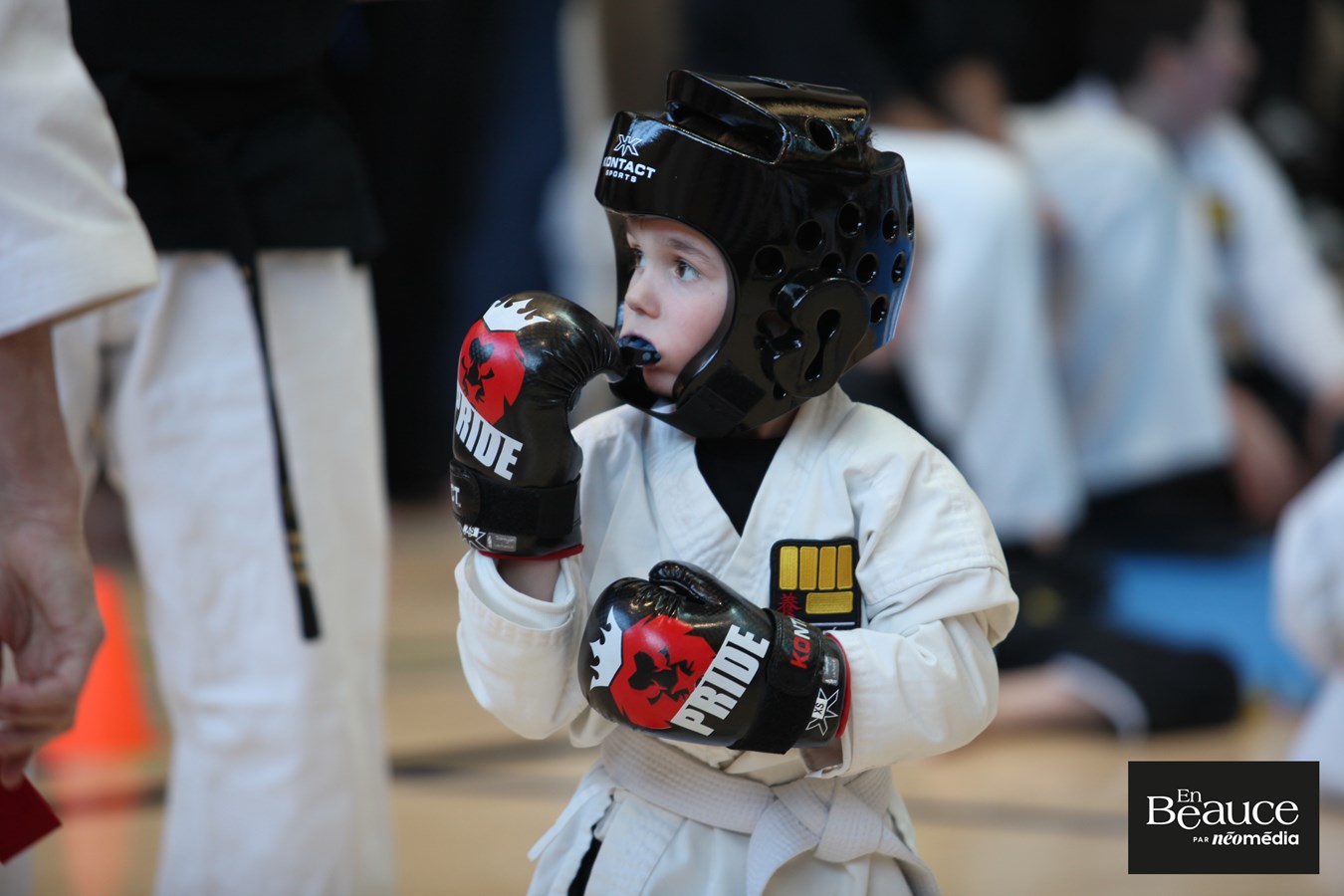 Le 23e Championnat Yoseikan Beauce réunit les passionnés à Saint-Georges