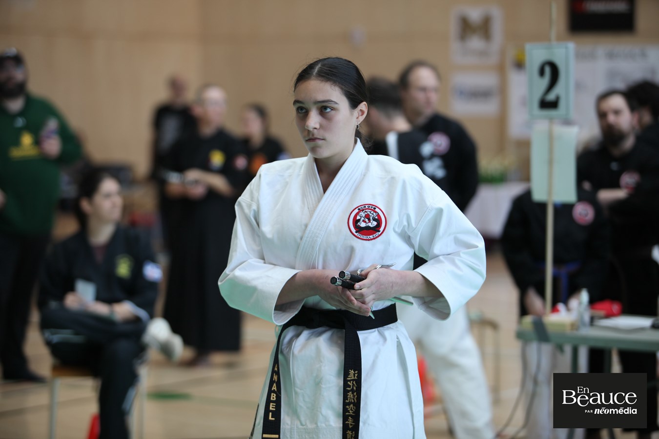 Le 23e Championnat Yoseikan Beauce réunit les passionnés à Saint-Georges